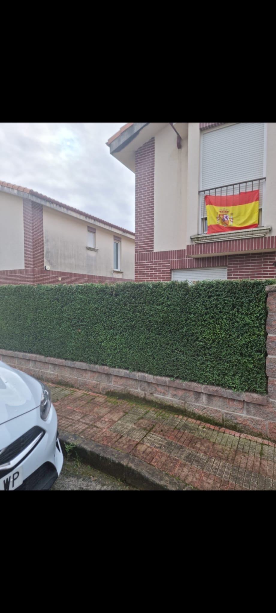 Seto urbano en Cantabria